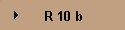 R 10 b